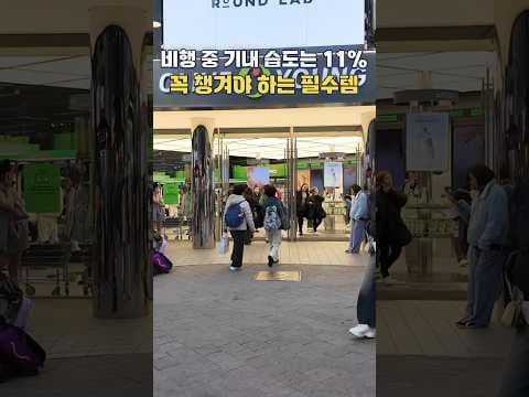 올리브영에서 만나는 비행기 기내 보습 클라미에르 찰싹 패드