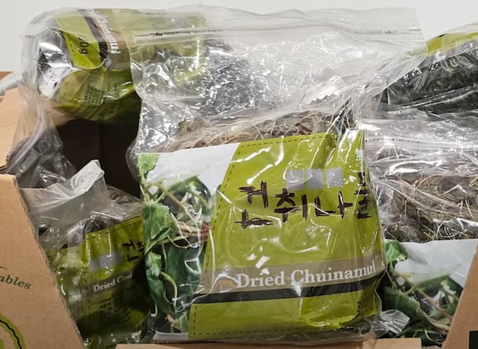 건취나물 (300G) 원산지:국내산