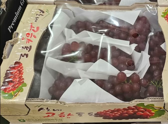 델라웨어포도 (1KG) 원산지 : 국내산