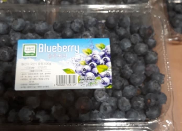 무농약 블루베리 (500G) 원산지 : 국내산