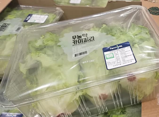 무농약 카이피라 400G 원산지: 국내산