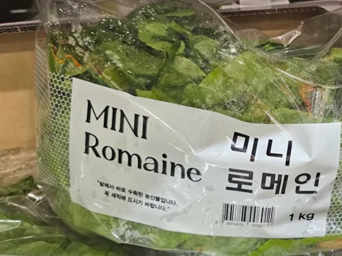 미니로메인 (1KG) 원산지 : 국내산