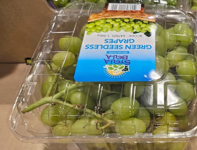 스텔라벨라청포도 (1.36 KG)