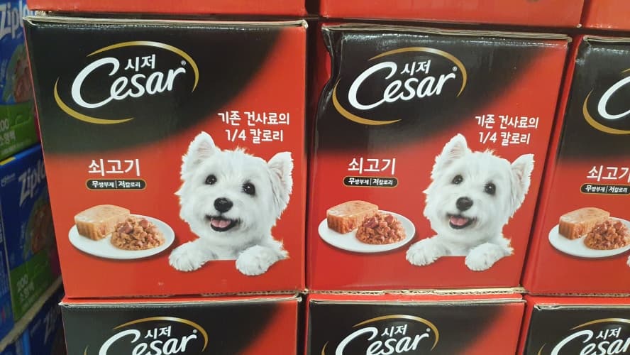 시저 애견사료 / 소고기 100G X 24캔