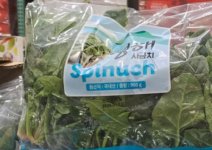 영해 시금치 (900G) 원산지: 국내산