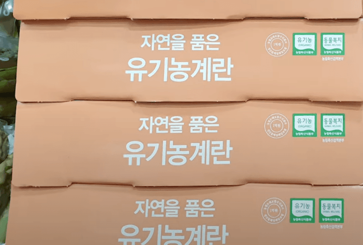 자연을 품은 유기농 계란 1,560G (30개)
