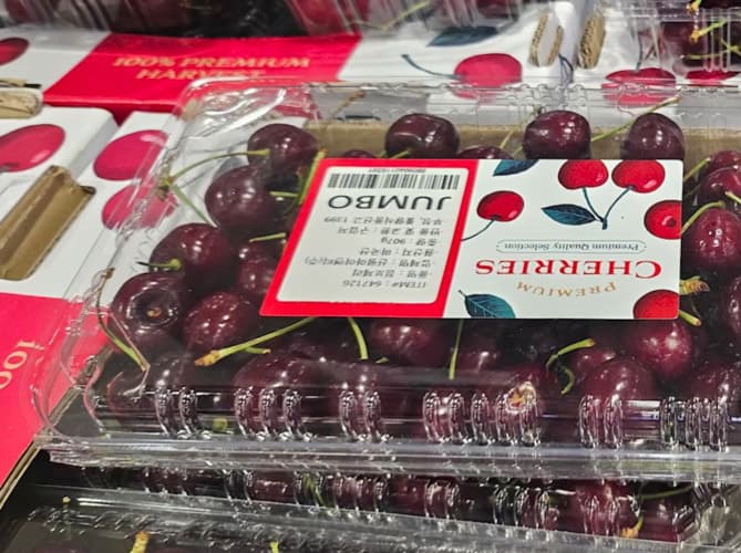 점보 레드체리 (907G) 원산지 : 미국