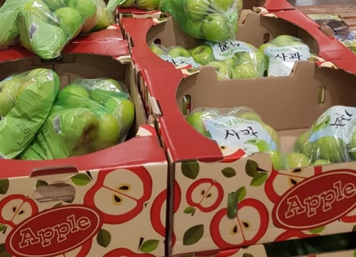 초록사과 1봉 (3KG) 원산지 : 국내산