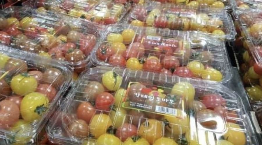 칵테일 토마토(2KG) 원산지 : 국내산
