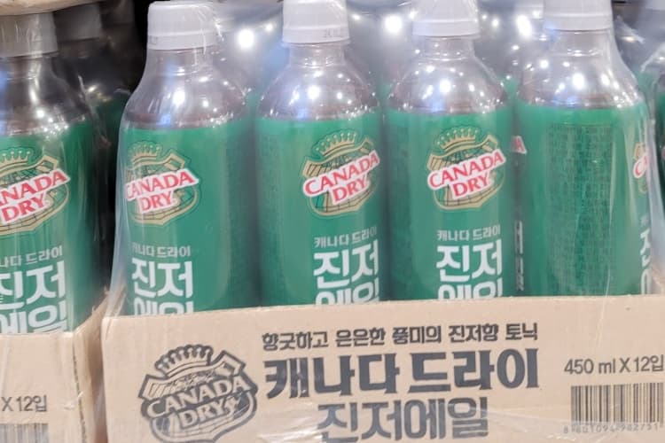 캐나다드라이 진저에일 450ML X 12