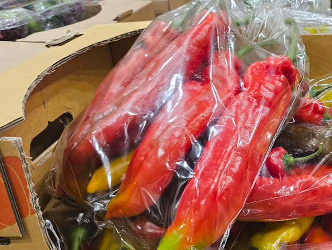 트리벨리 파프리카(1KG) 원산지 : 국내산