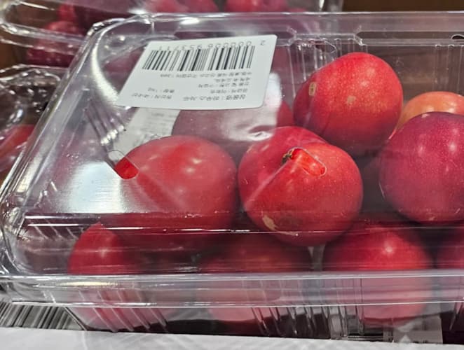 하우스 자두 (1KG) 원산지 : 국내산