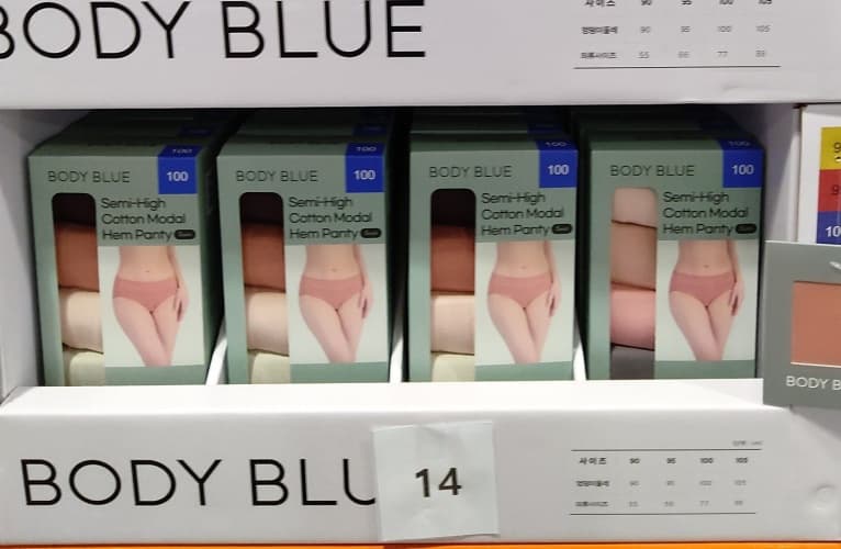 BODYBLUE 여성팬티 5매 90-105 ASIAN SIZE
