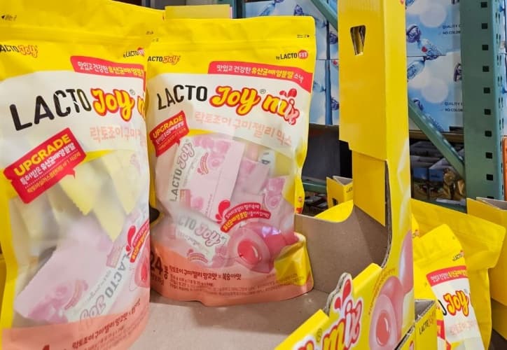 LACTO-JOY 구미 젤리 600G / 25G X 24