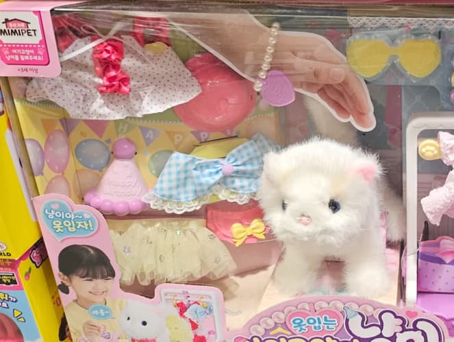 MIMI PET 옷입는 아기고양이 냥이