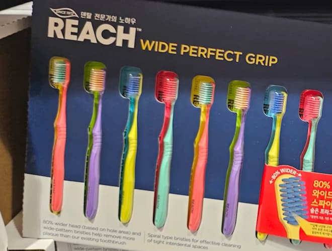 REACH 리치 컬러팝스와이드칫솔 10개