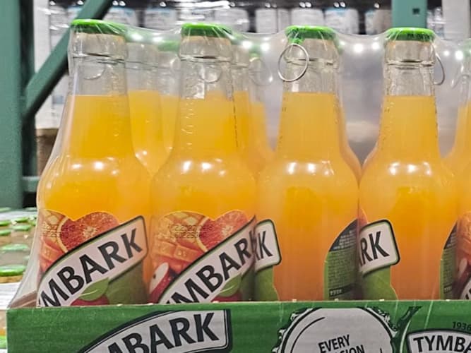 TYMBARK 망고애플오렌지주스 250ML X 15