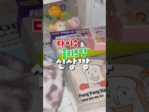 올리브영 신상 페리페라 로지디핑초콜릿 팔레트와 쿠키 블러셔 매력 분석