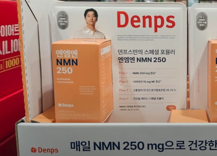 덴프스 NMN 250 700MG X 60정