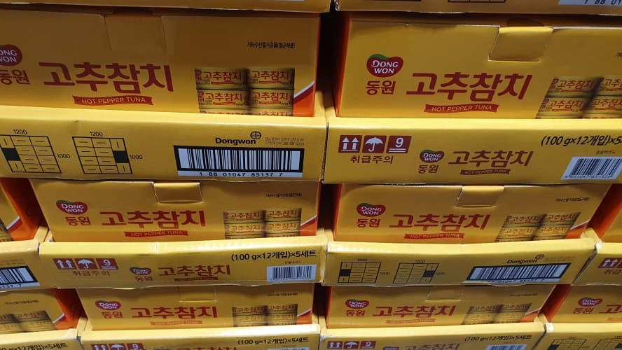 동원 고추참치 100G X 12