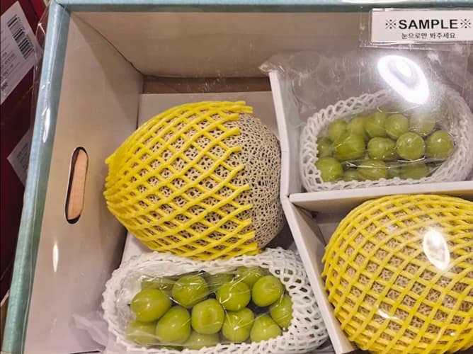 멜론& 샤인머스캣선물세트 원산지 : 국내산