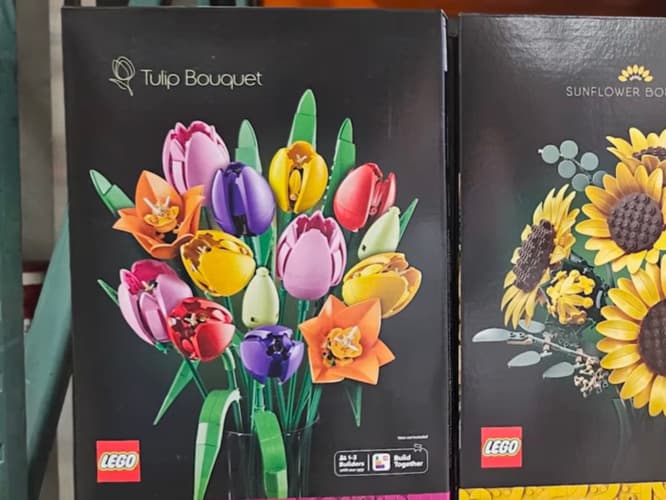LEGO SMALL ASST. 보태니컬 꽃다발 2종 택 1