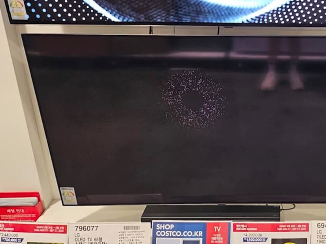LG OLED TV 65형 스탠드/벽걸이택1