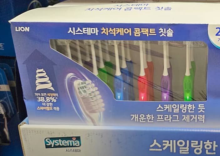 SISTEMA 시스테마 치석케어 콤팩트 치솔 24개